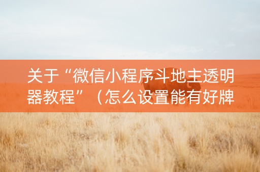 关于“微信小程序斗地主透明器教程”（怎么设置能有好牌)