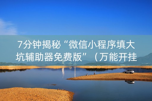 7分钟揭秘“微信小程序填大坑辅助器免费版”（万能开挂器)