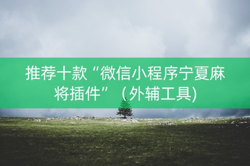 推荐十款“微信小程序宁夏麻将插件”（外辅工具)