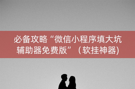 必备攻略“微信小程序填大坑辅助器免费版”（软挂神器)