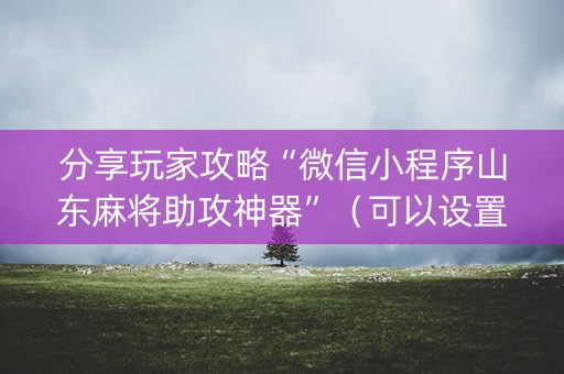 分享玩家攻略“微信小程序山东麻将助攻神器”（可以设置输赢吗)