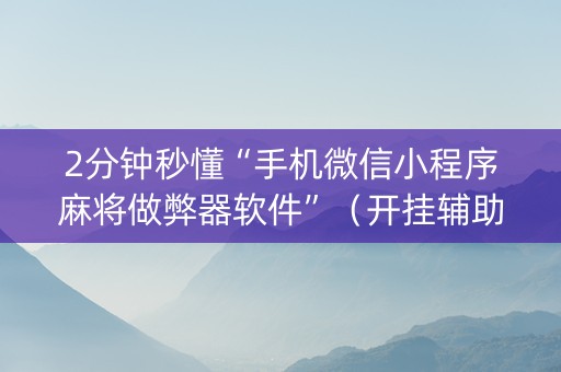 2分钟秒懂“手机微信小程序麻将做弊器软件”（开挂辅助插件)