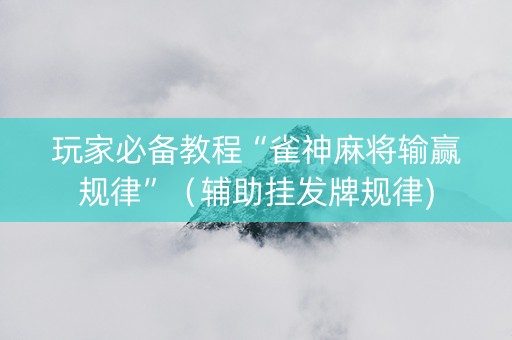 玩家必备教程“雀神麻将输赢规律”（辅助挂发牌规律)