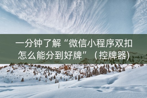一分钟了解“微信小程序双扣怎么能分到好牌”（控牌器)