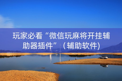 玩家必看“微信玩麻将开挂辅助器插件”（辅助软件)