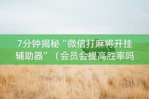 7分钟揭秘“微信打麻将开挂辅助器”（会员会提高胜率吗)