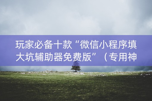 玩家必备十款“微信小程序填大坑辅助器免费版”（专用神器下载)