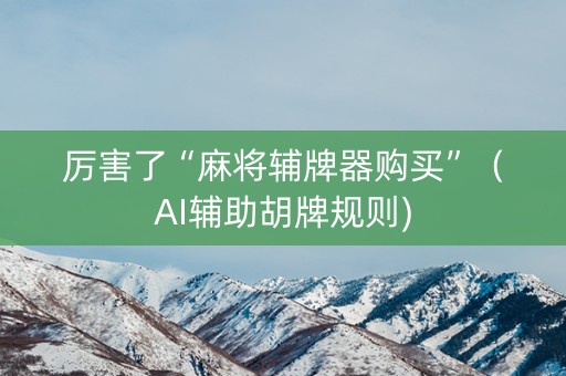厉害了“麻将辅牌器购买”（AI辅助胡牌规则)
