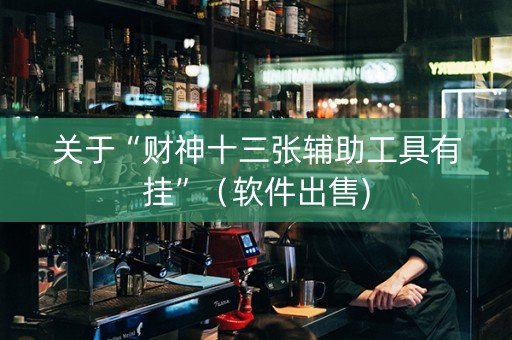 关于“财神十三张辅助工具有挂”（软件出售)