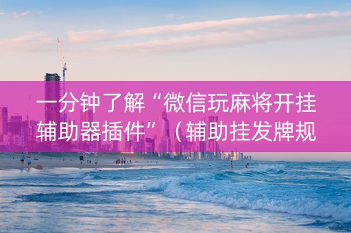 一分钟了解“微信玩麻将开挂辅助器插件”（辅助挂发牌规律)
