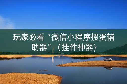 玩家必看“微信小程序掼蛋辅助器”（挂件神器)