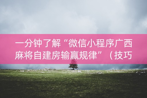 一分钟了解“微信小程序广西麻将自建房输赢规律”（技巧和打好牌方法)