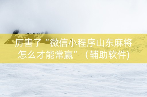 厉害了“微信小程序山东麻将怎么才能常赢”（辅助软件)