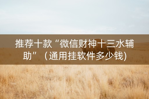 推荐十款“微信财神十三水辅助”（通用挂软件多少钱)