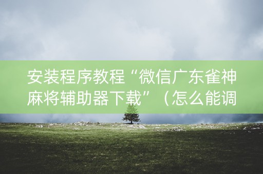 安装程序教程“微信广东雀神麻将辅助器下载”（怎么能调好牌)