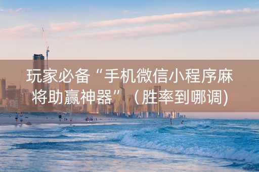 玩家必备“手机微信小程序麻将助赢神器”（胜率到哪调)