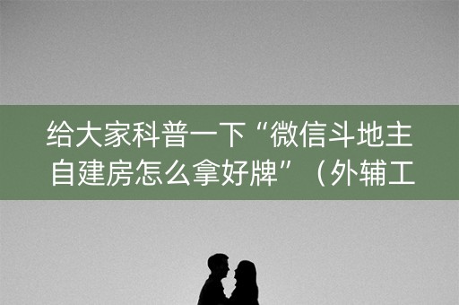 给大家科普一下“微信斗地主自建房怎么拿好牌”（外辅工具)