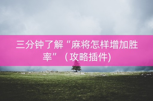 三分钟了解“麻将怎样增加胜率”（攻略插件)