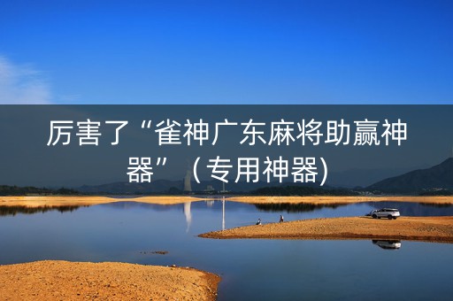 厉害了“雀神广东麻将助赢神器”（专用神器)