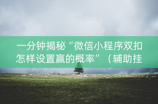 一分钟揭秘“微信小程序双扣怎样设置赢的概率”（辅助挂发牌规律)