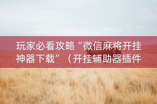 玩家必看攻略“微信麻将开挂神器下载”（开挂辅助器插件)