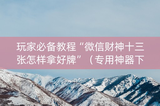 玩家必备教程“微信财神十三张怎样拿好牌”（专用神器下载)