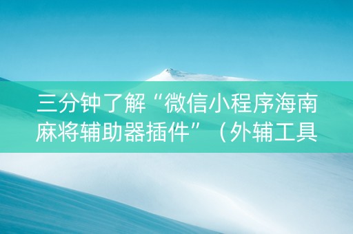 三分钟了解“微信小程序海南麻将辅助器插件”（外辅工具)