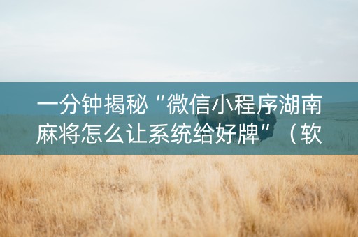 一分钟揭秘“微信小程序湖南麻将怎么让系统给好牌”（软挂神器)