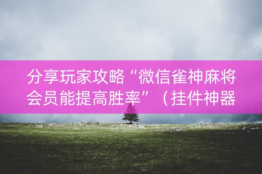 分享玩家攻略“微信雀神麻将会员能提高胜率”（挂件神器)