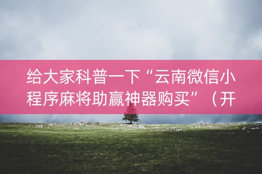 给大家科普一下“云南微信小程序麻将助赢神器购买”（开挂辅助器插件)