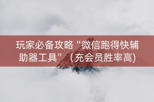 玩家必备攻略“微信跑得快辅助器工具”（充会员胜率高)