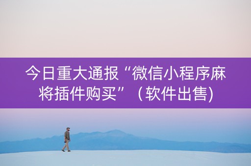 今日重大通报“微信小程序麻将插件购买”（软件出售)