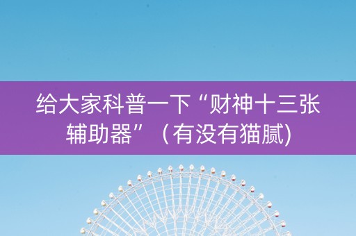 给大家科普一下“财神十三张辅助器”（有没有猫腻)