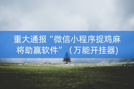 重大通报“微信小程序捉鸡麻将助赢软件”（万能开挂器)