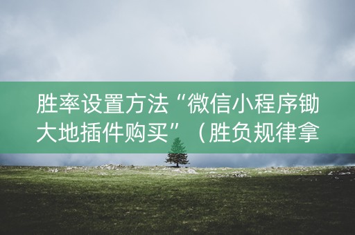 胜率设置方法“微信小程序锄大地插件购买”（胜负规律拿好牌)