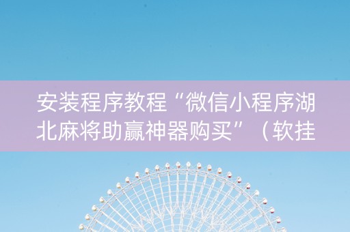安装程序教程“微信小程序湖北麻将助赢神器购买”（软挂神器)
