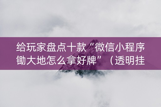 给玩家盘点十款“微信小程序锄大地怎么拿好牌”（透明挂辅助器)