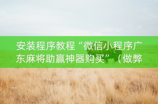 安装程序教程“微信小程序广东麻将助赢神器购买”（做弊器软件下载)