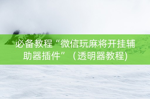 必备教程“微信玩麻将开挂辅助器插件”（透明器教程)