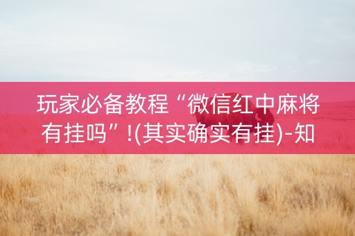 玩家必备教程“微信红中麻将有挂吗”!(其实确实有挂)-知乎