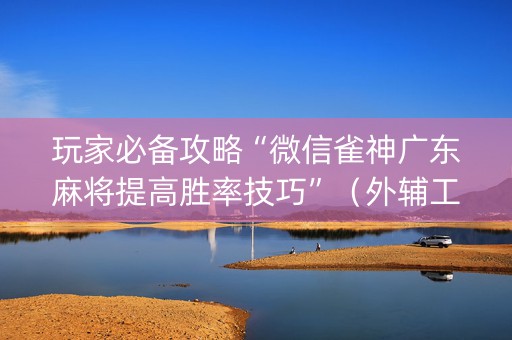 玩家必备攻略“微信雀神广东麻将提高胜率技巧”（外辅工具)