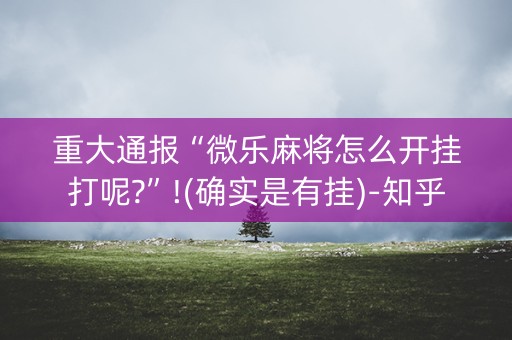 重大通报“微乐麻将怎么开挂打呢?”!(确实是有挂)-知乎