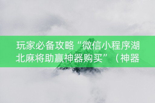 玩家必备攻略“微信小程序湖北麻将助赢神器购买”（神器通用版)