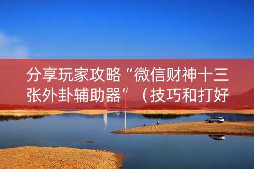 分享玩家攻略“微信财神十三张外卦辅助器”（技巧和打好牌方法)
