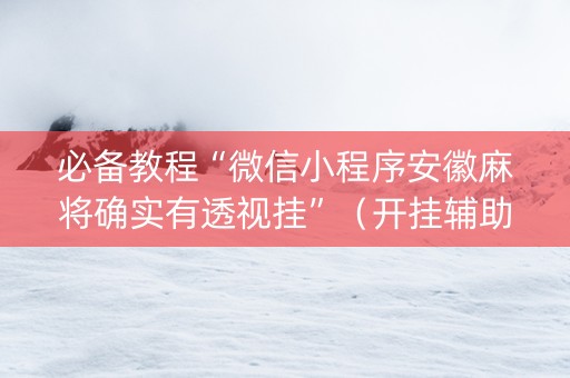 必备教程“微信小程序安徽麻将确实有透视挂”（开挂辅助插件)