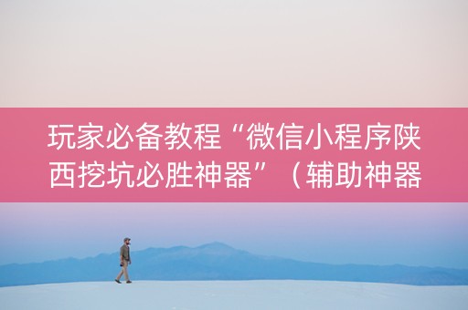 玩家必备教程“微信小程序陕西挖坑必胜神器”（辅助神器免费)