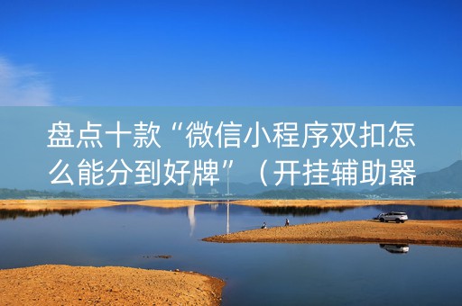 盘点十款“微信小程序双扣怎么能分到好牌”（开挂辅助器脚本)