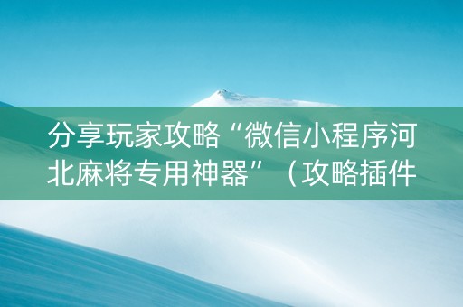 分享玩家攻略“微信小程序河北麻将专用神器”（攻略插件)