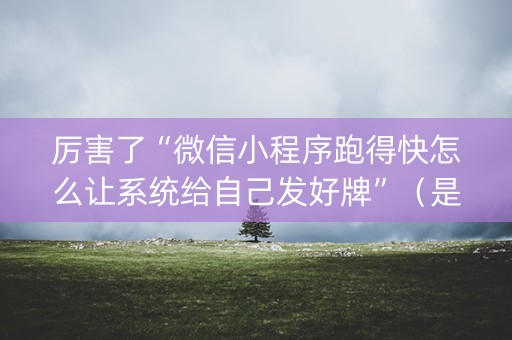 厉害了“微信小程序跑得快怎么让系统给自己发好牌”（是否能开挂)