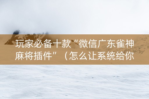 玩家必备十款“微信广东雀神麻将插件”（怎么让系统给你发好牌)